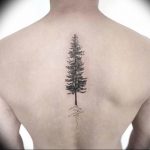 Фото рисунка тату сосна 11.10.2018 №050 - pine tattoo - tattoo-photo.ru