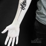 Фото рисунка тату сосна 11.10.2018 №052 - pine tattoo - tattoo-photo.ru