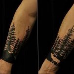 Фото рисунка тату сосна 11.10.2018 №053 - pine tattoo - tattoo-photo.ru