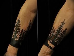 Фото рисунка тату сосна 11.10.2018 №053 - pine tattoo - tattoo-photo.ru