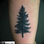Фото рисунка тату сосна 11.10.2018 №056 - pine tattoo - tattoo-photo.ru