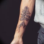 Фото рисунка тату сосна 11.10.2018 №063 - pine tattoo - tattoo-photo.ru