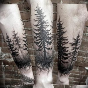 Фото рисунка тату сосна 11.10.2018 №066 - pine tattoo - tattoo-photo.ru
