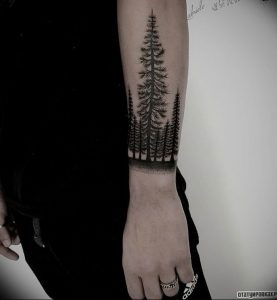 Фото рисунка тату сосна 11.10.2018 №076 - pine tattoo - tattoo-photo.ru
