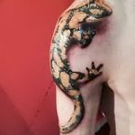 Фото рисунка татуировка саламандра 30.10.2018 №001 - salamander tattoo - tattoo-photo.ru