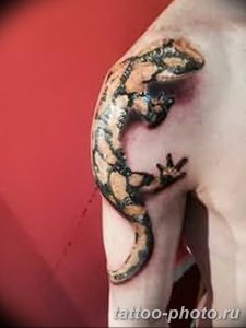 Фото рисунка татуировка саламандра 30.10.2018 №001 - salamander tattoo - tattoo-photo.ru