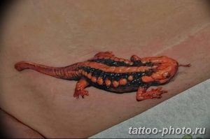 Фото рисунка татуировка саламандра 30.10.2018 №002 - salamander tattoo - tattoo-photo.ru