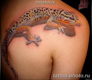Фото рисунка татуировка саламандра 30.10.2018 №003 - salamander tattoo - tattoo-photo.ru