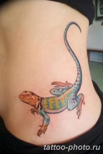 Фото рисунка татуировка саламандра 30.10.2018 №004 - salamander tattoo - tattoo-photo.ru