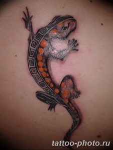 Фото рисунка татуировка саламандра 30.10.2018 №006 - salamander tattoo - tattoo-photo.ru