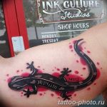 Фото рисунка татуировка саламандра 30.10.2018 №010 - salamander tattoo - tattoo-photo.ru