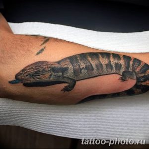 Фото рисунка татуировка саламандра 30.10.2018 №013 - salamander tattoo - tattoo-photo.ru