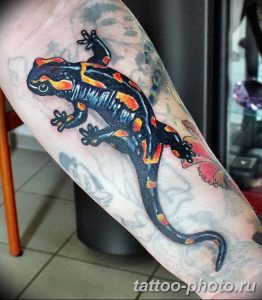 Фото рисунка татуировка саламандра 30.10.2018 №015 - salamander tattoo - tattoo-photo.ru