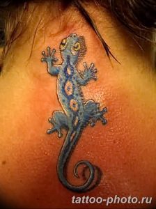 Фото рисунка татуировка саламандра 30.10.2018 №018 - salamander tattoo - tattoo-photo.ru