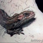 Фото рисунка татуировка саламандра 30.10.2018 №019 - salamander tattoo - tattoo-photo.ru