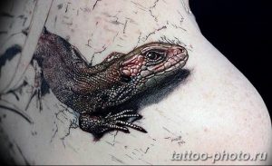 Фото рисунка татуировка саламандра 30.10.2018 №019 - salamander tattoo - tattoo-photo.ru
