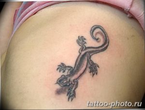 Фото рисунка татуировка саламандра 30.10.2018 №020 - salamander tattoo - tattoo-photo.ru