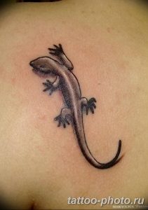 Фото рисунка татуировка саламандра 30.10.2018 №022 - salamander tattoo - tattoo-photo.ru
