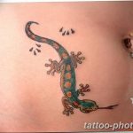 Фото рисунка татуировка саламандра 30.10.2018 №025 - salamander tattoo - tattoo-photo.ru