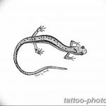 Фото рисунка татуировка саламандра 30.10.2018 №027 - salamander tattoo - tattoo-photo.ru