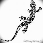 Фото рисунка татуировка саламандра 30.10.2018 №028 - salamander tattoo - tattoo-photo.ru