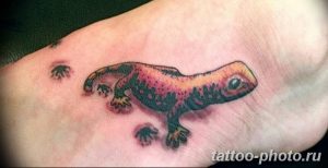 Фото рисунка татуировка саламандра 30.10.2018 №031 - salamander tattoo - tattoo-photo.ru