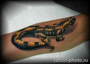 Фото рисунка татуировка саламандра 30.10.2018 №032 - salamander tattoo - tattoo-photo.ru