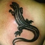 Фото рисунка татуировка саламандра 30.10.2018 №033 - salamander tattoo - tattoo-photo.ru