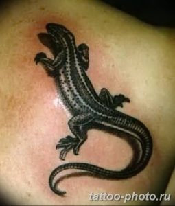 Фото рисунка татуировка саламандра 30.10.2018 №033 - salamander tattoo - tattoo-photo.ru