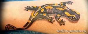 Фото рисунка татуировка саламандра 30.10.2018 №034 - salamander tattoo - tattoo-photo.ru