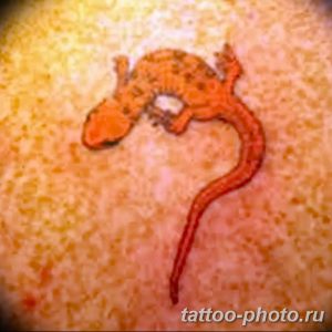 Фото рисунка татуировка саламандра 30.10.2018 №035 - salamander tattoo - tattoo-photo.ru