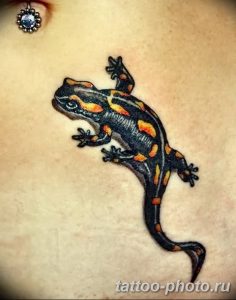Фото рисунка татуировка саламандра 30.10.2018 №038 - salamander tattoo - tattoo-photo.ru