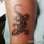 Фото рисунка татуировка саламандра 30.10.2018 №040 - salamander tattoo - tattoo-photo.ru