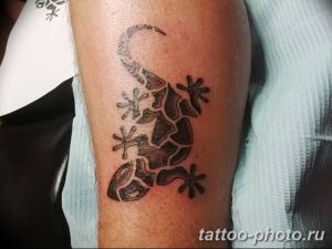 Фото рисунка татуировка саламандра 30.10.2018 №040 - salamander tattoo - tattoo-photo.ru