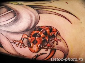 Фото рисунка татуировка саламандра 30.10.2018 №042 - salamander tattoo - tattoo-photo.ru