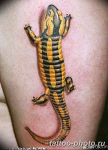 Фото рисунка татуировка саламандра 30.10.2018 №049 - salamander tattoo - tattoo-photo.ru