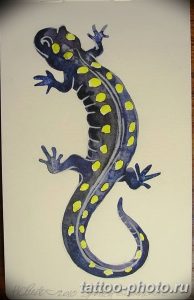 Фото рисунка татуировка саламандра 30.10.2018 №052 - salamander tattoo - tattoo-photo.ru