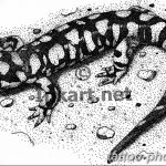 Фото рисунка татуировка саламандра 30.10.2018 №055 - salamander tattoo - tattoo-photo.ru