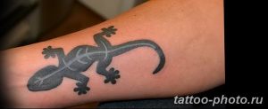 Фото рисунка татуировка саламандра 30.10.2018 №056 - salamander tattoo - tattoo-photo.ru