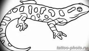 Фото рисунка татуировка саламандра 30.10.2018 №058 - salamander tattoo - tattoo-photo.ru