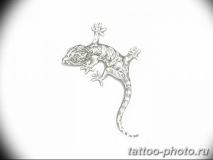 Фото рисунка татуировка саламандра 30.10.2018 №059 - salamander tattoo - tattoo-photo.ru