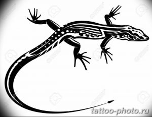 Фото рисунка татуировка саламандра 30.10.2018 №061 - salamander tattoo - tattoo-photo.ru