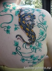 Фото рисунка татуировка саламандра 30.10.2018 №068 - salamander tattoo - tattoo-photo.ru