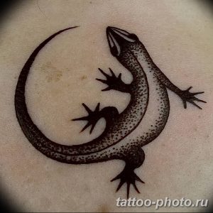 Фото рисунка татуировка саламандра 30.10.2018 №071 - salamander tattoo - tattoo-photo.ru