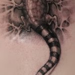 Фото рисунка татуировка саламандра 30.10.2018 №074 - salamander tattoo - tattoo-photo.ru