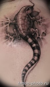 Фото рисунка татуировка саламандра 30.10.2018 №074 - salamander tattoo - tattoo-photo.ru