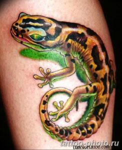 Фото рисунка татуировка саламандра 30.10.2018 №075 - salamander tattoo - tattoo-photo.ru