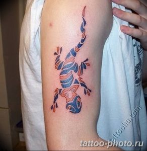 Фото рисунка татуировка саламандра 30.10.2018 №077 - salamander tattoo - tattoo-photo.ru