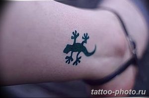 Фото рисунка татуировка саламандра 30.10.2018 №078 - salamander tattoo - tattoo-photo.ru
