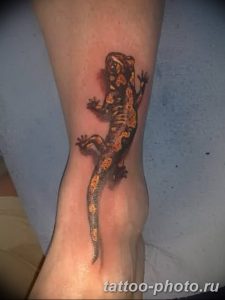 Фото рисунка татуировка саламандра 30.10.2018 №081 - salamander tattoo - tattoo-photo.ru